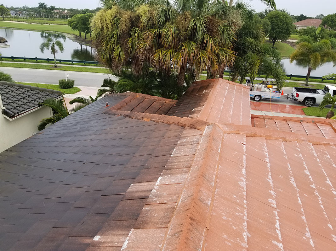 Safe and Effective Roof Cleaning Process